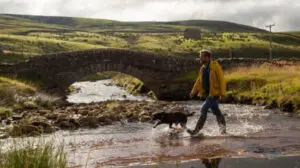 Exploring ‘Ben Fogle: New Lives in the Wild’