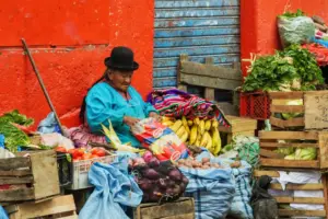 Exploring Bolivia: Culture, Politics, and Current Events