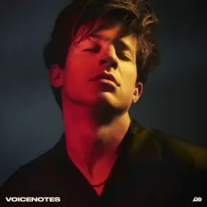 The Rise and Recent Developments of Charlie Puth