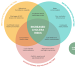 Understanding the Current Threat of Cholera Epidemics