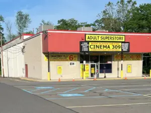 The Evolution and Importance of Cinema in Modern Society