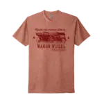 The Journey of Darius Rucker: From Rock Star to Country Icon