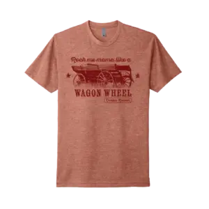 Darius Rucker: The Multifaceted Musician