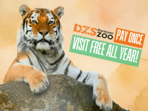 Discovering Dartmoor Zoo: A Sanctuary for Wildlife