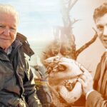David Attenborough: A Beacon of Nature Conservation