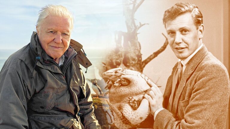 David Attenborough: A Beacon of Nature Conservation