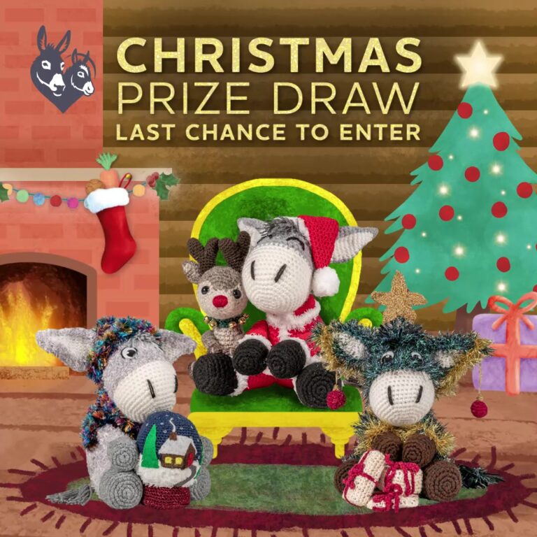 Assessing the Damage: Donkey Sanctuary’s Wet Winter Challenges