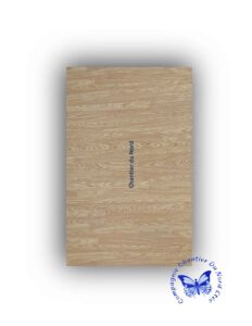 The Rise of Dragusin in Romanian Football