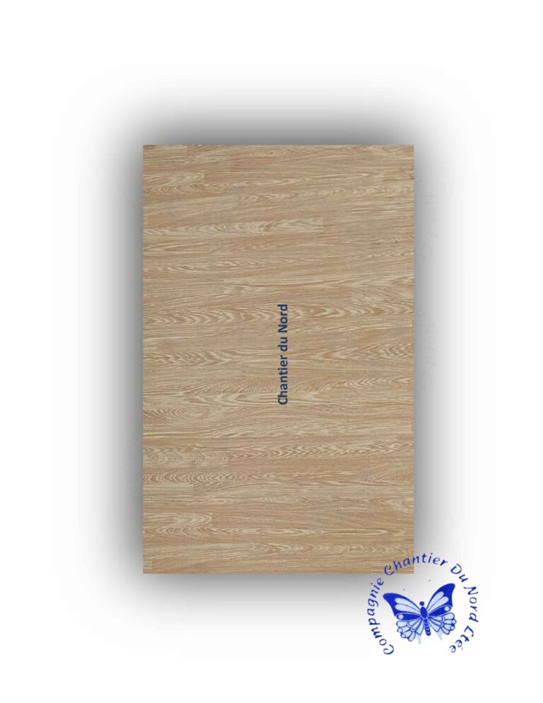 The Rise of Dragusin in Romanian Football