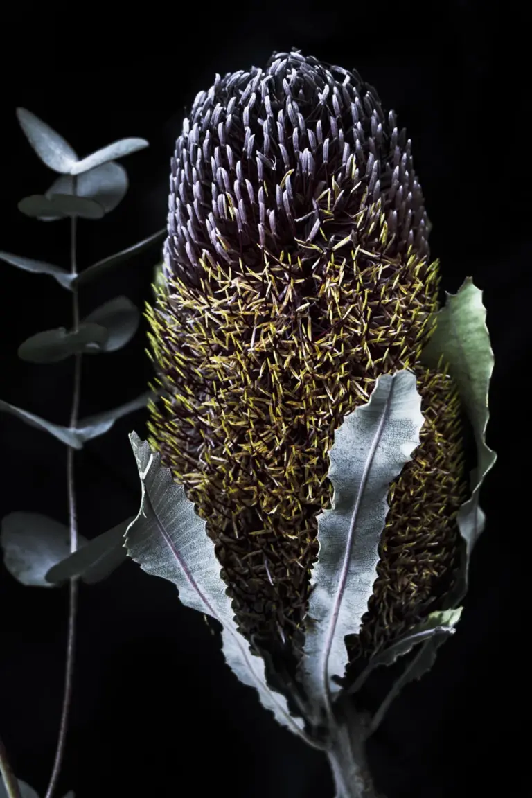 Elizabeth Hosking: Emerging Leader in UK Politics