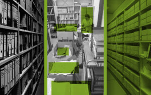 The Role and Importance of Embo in Contemporary Society