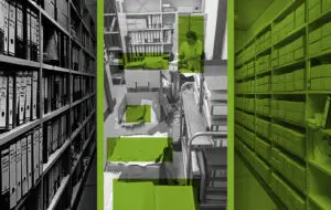 The Role and Importance of Embo in Contemporary Society