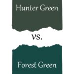 Exploring the Forest Green vs Carlisle Football Rivalry