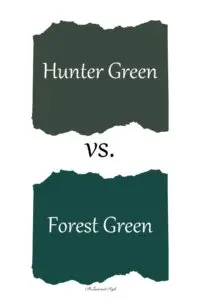 Forest Green vs Woking: A Compelling Football Encounter