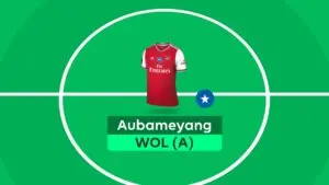 FPL: The Phenomenon of Fantasy Premier League