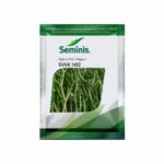 The Evolution of GM in the Modern Automotive Landscape