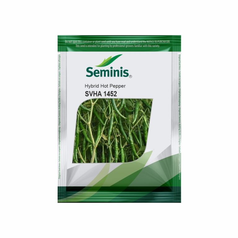 The Evolution of GM in the Modern Automotive Landscape