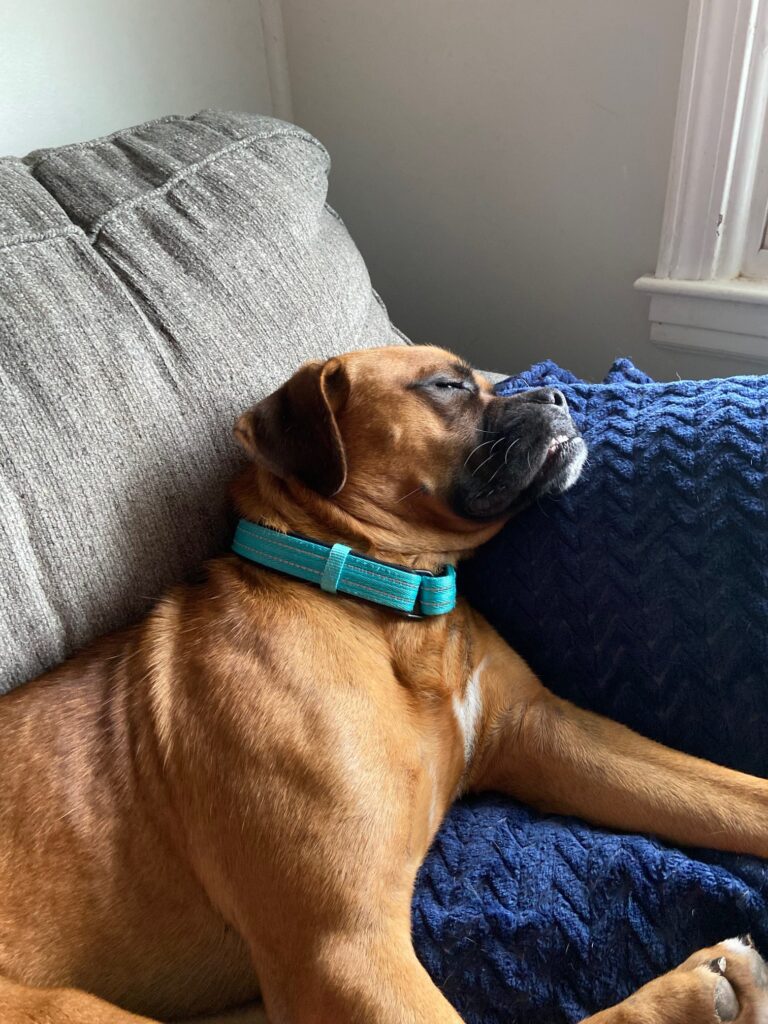 Meet Jack Turner: The Promising Boxer Set to Dominate