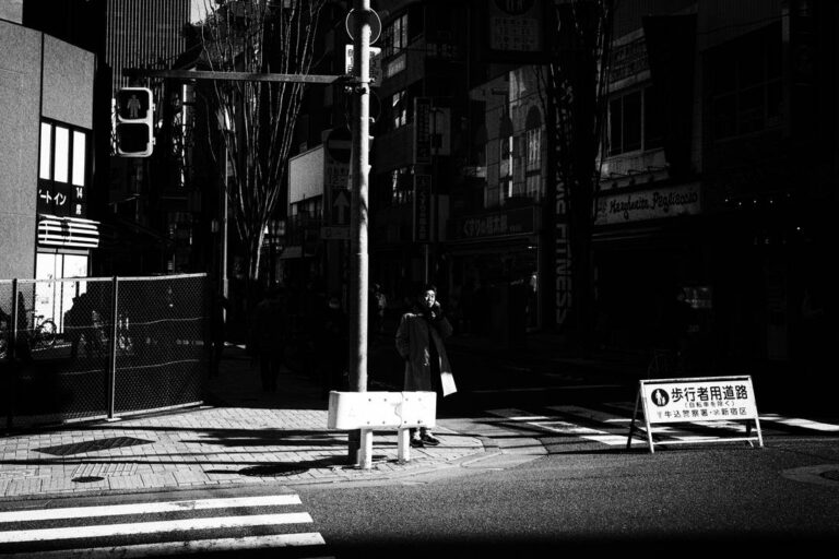 Exploring Japan’s Cultural and Economic Landscape