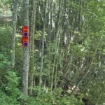 Understanding Kentucky: A Cultural and Economic Overview