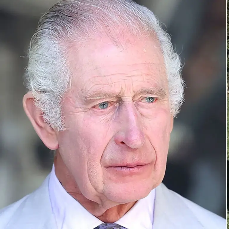 The Beginning of King Charles’s Reign: What It Means for the UK