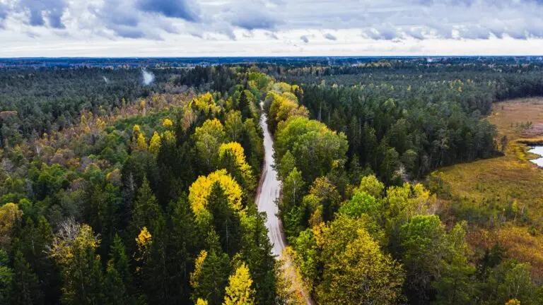 Exploring the Rich Culture and Landscape of Latvia