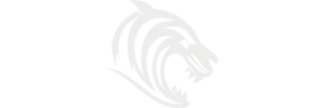 Overview of the Leicester Tigers Rugby Club
