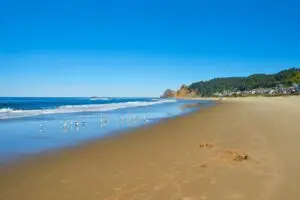 Discovering Lincoln City: Its Heritage and Current Events