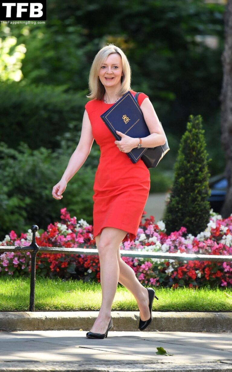 The Political Journey of Liz Truss: Former Prime Minister of the UK