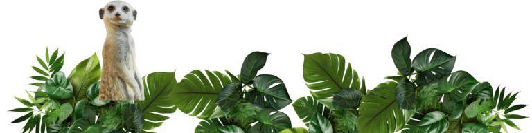 Explore the Wonders of Longleat