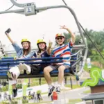 Exploring the Thrill of Luge: The Fast-Paced Winter Sport