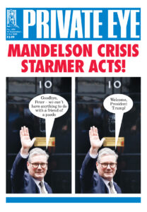 Understanding the Role of Private Eye Investigators