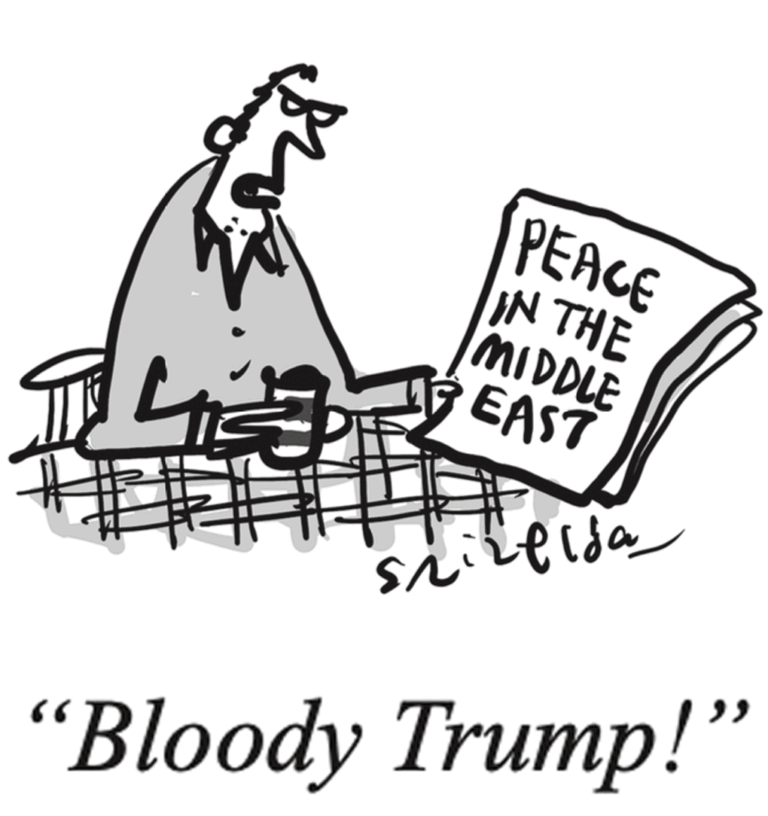 Understanding the Role of a Private Eye