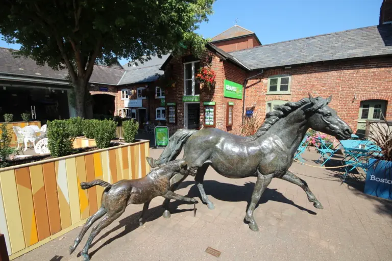 Discovering Ringwood: Melbourne’s Vibrant Suburb