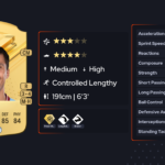 Rodri: The Engine of Manchester City’s Midfield