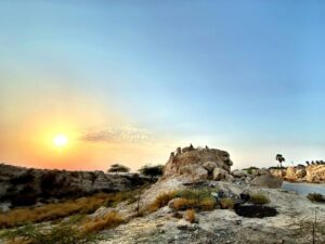 Understanding the Global Impact of Saudi Arabia