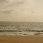 Exploring the Send Help Movie: A New Cinematic Experience