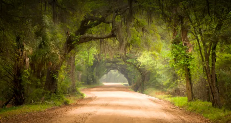 Discovering St Helena: A Remote Island with Rich History