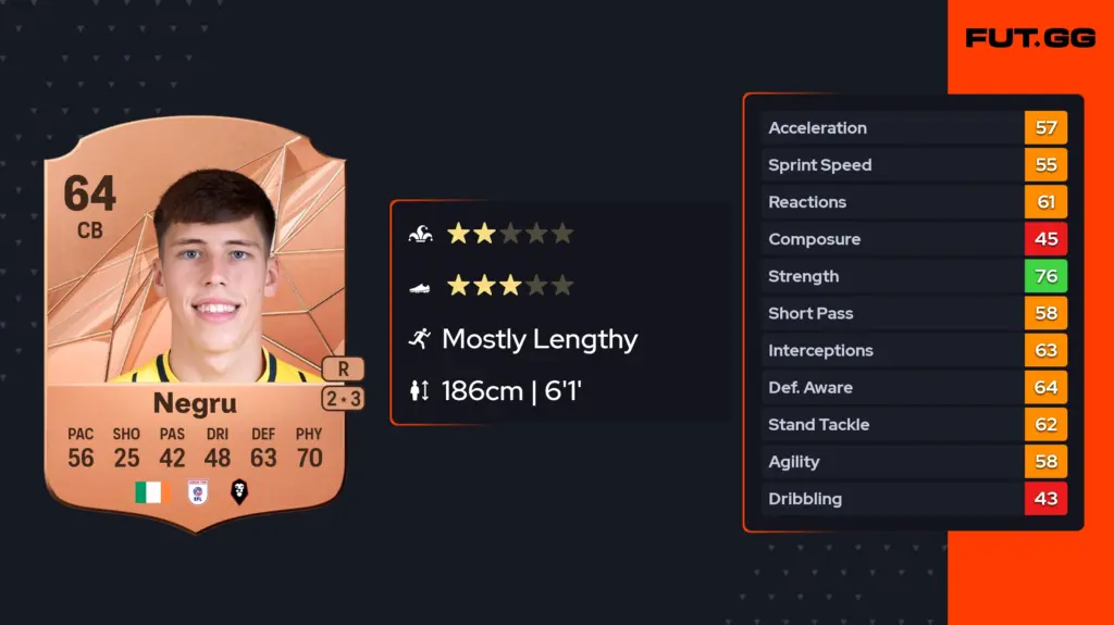 The Rise of Stephan Negru in the Tech Industry