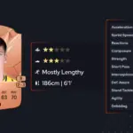 The Rise of Stephan Negru in the Tech Industry