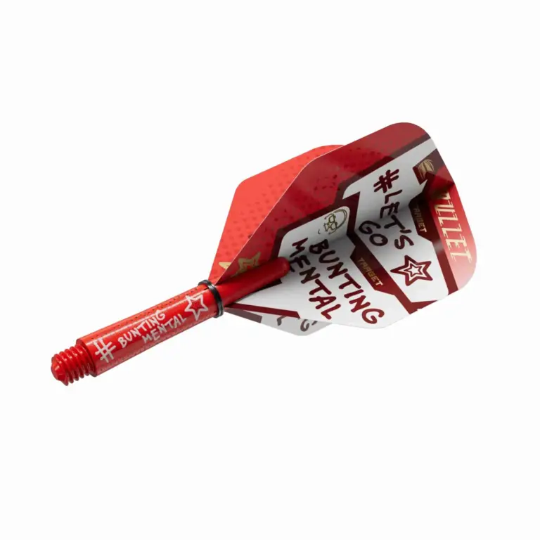 The Rise of Stephen Bunting in Professional Darts