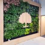 Understanding the Student Loans Company in the UK