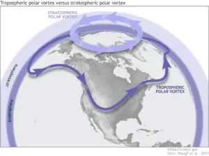 The Phenomenon of Sudden Stratospheric Warming Explained
