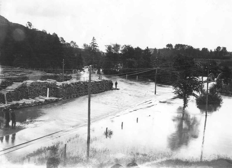 Understanding the Surge in Renewable Energy Adoption