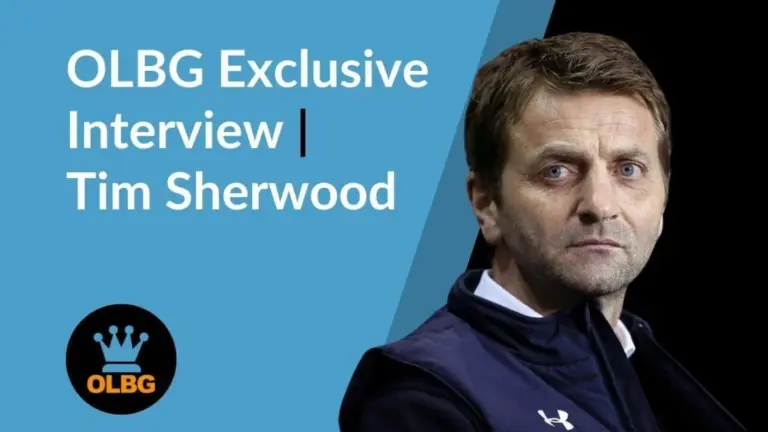 Tim Sherwood: His Journey in Football Management