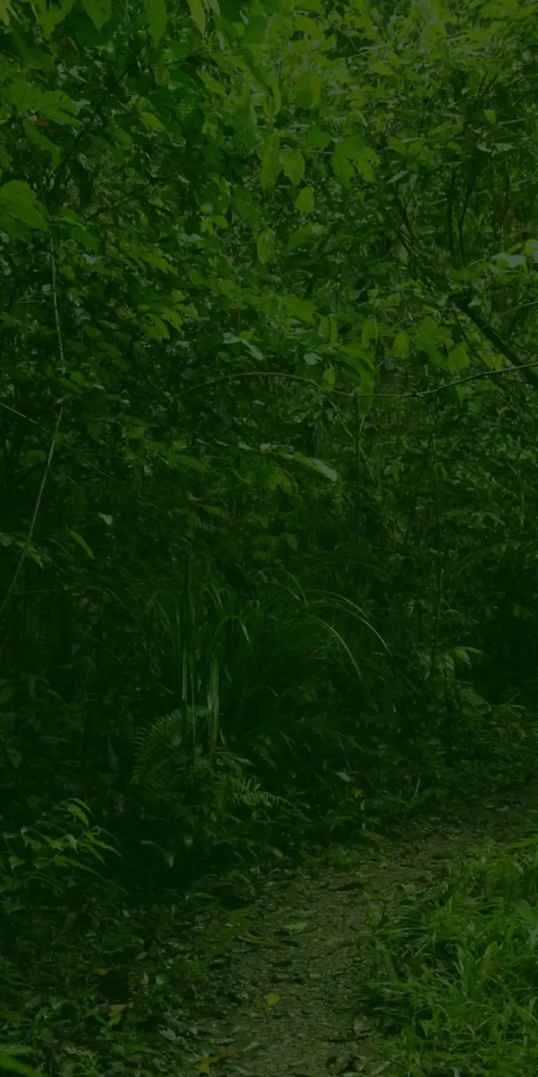 Discovering Twycross Zoo: A Hub for Conservation and Wildlife