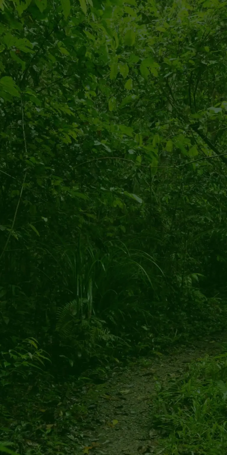 Explore the Wonders of Twycross Zoo