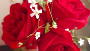 Valentine’s Day 2024: Celebrations and Trends