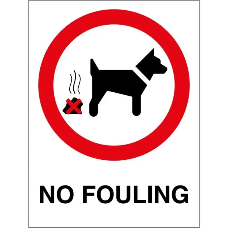Understanding Wales Dog Walking Fines: New Regulations Ahead