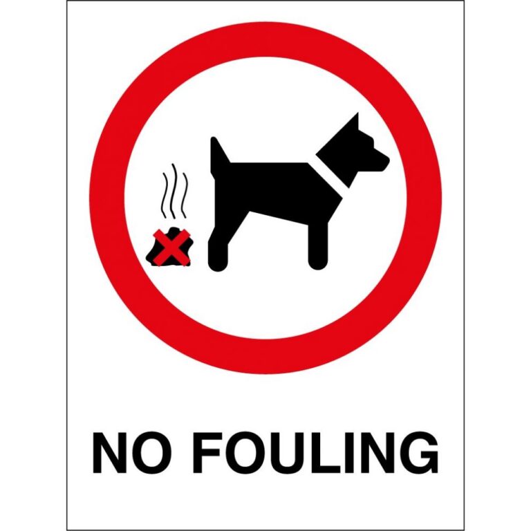 Understanding Wales Dog Walking Fines: What You Need to Know